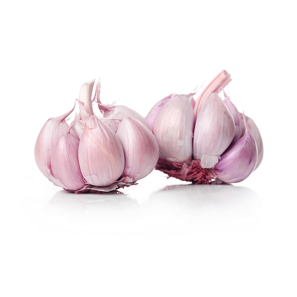 Ajo Chileno Rosado1