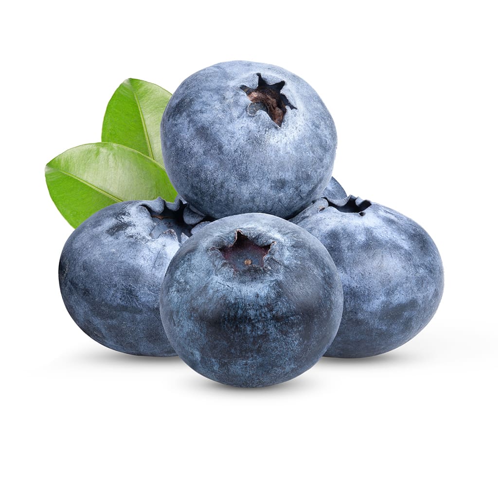 Arandanos2