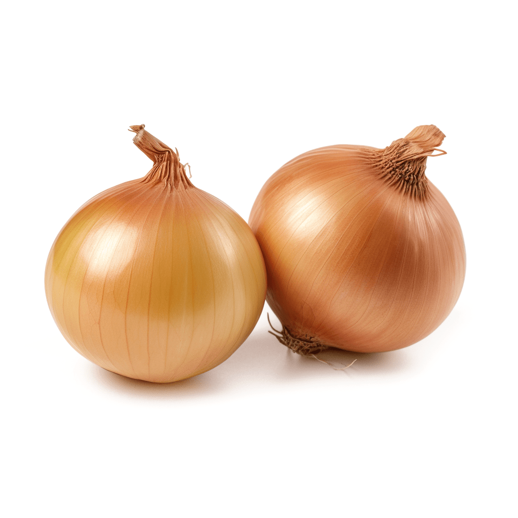 Cebolla2