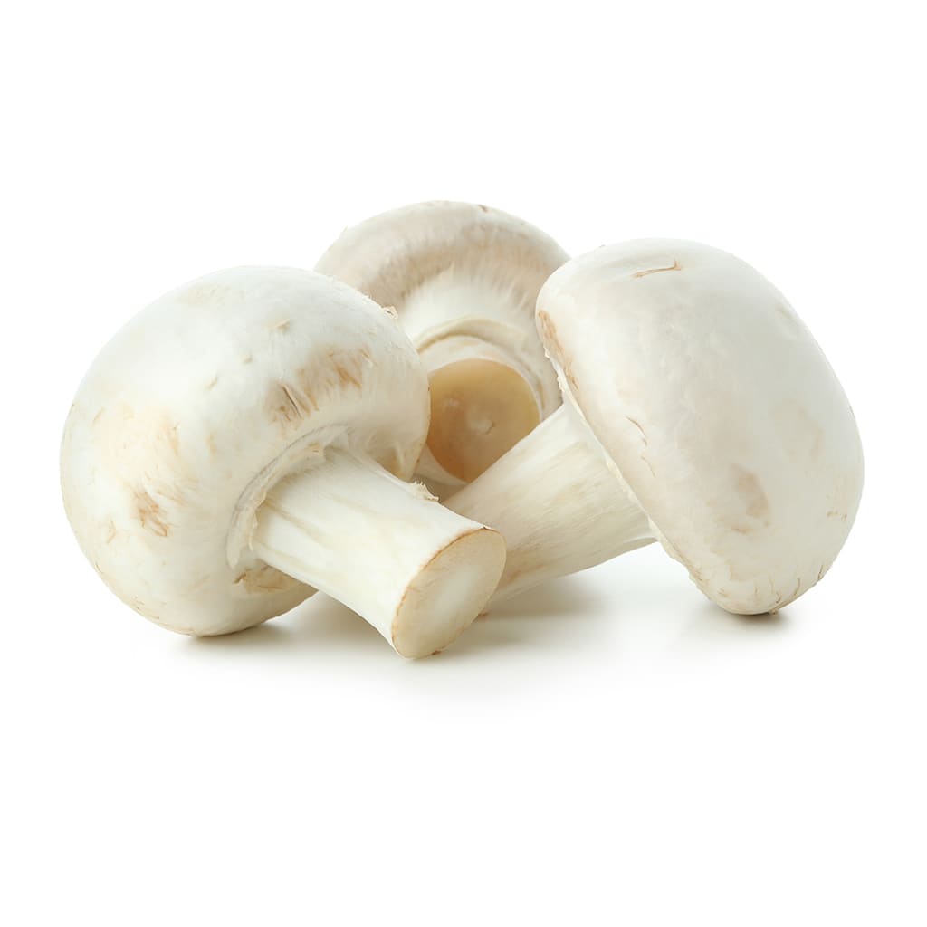 Champiñon2