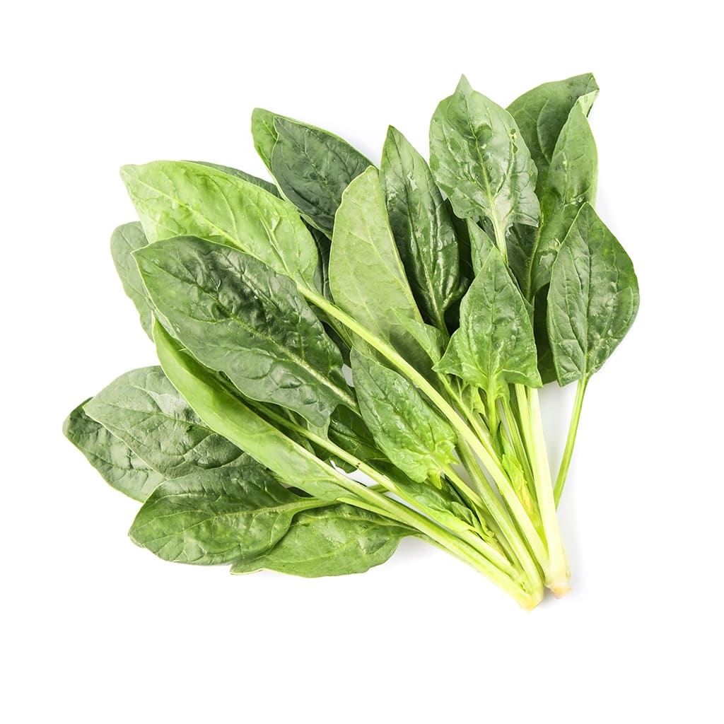 Espinaca2