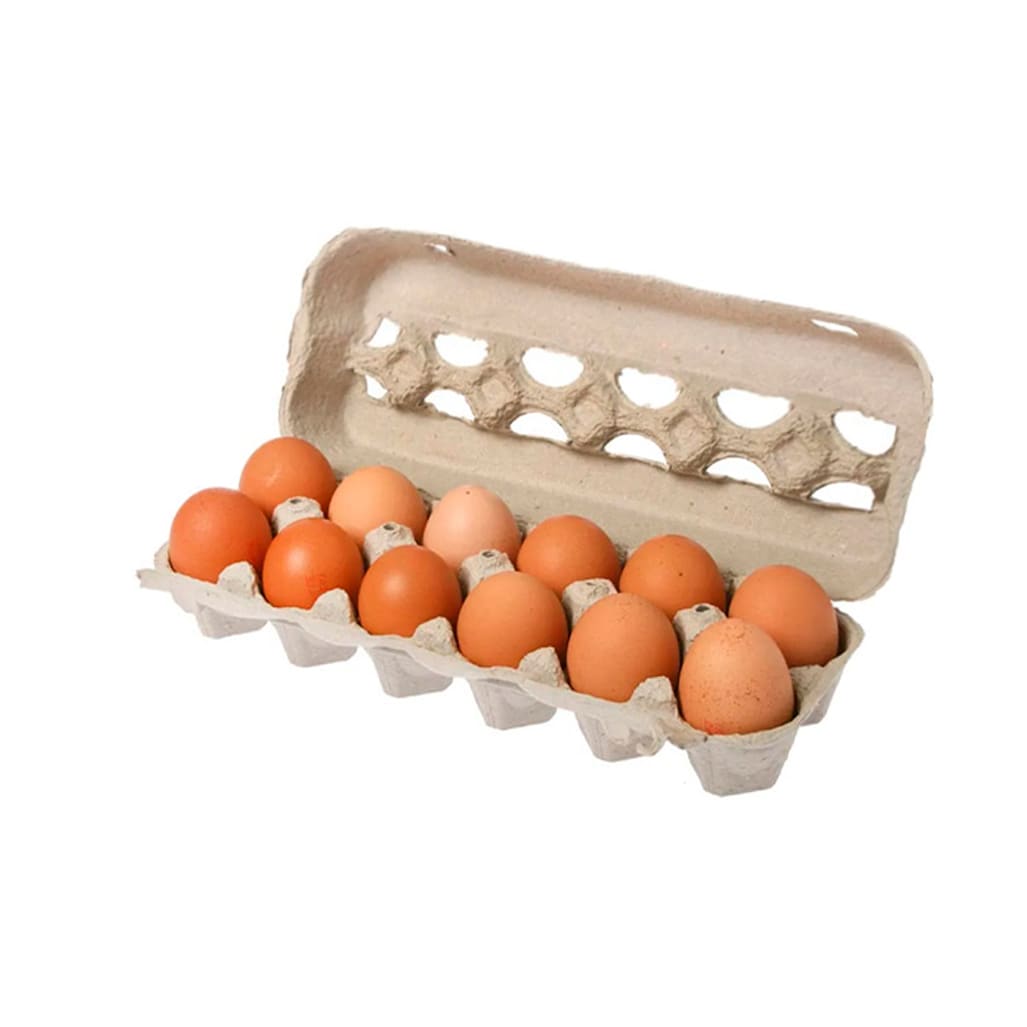 Huevos de Campo Color Extra2