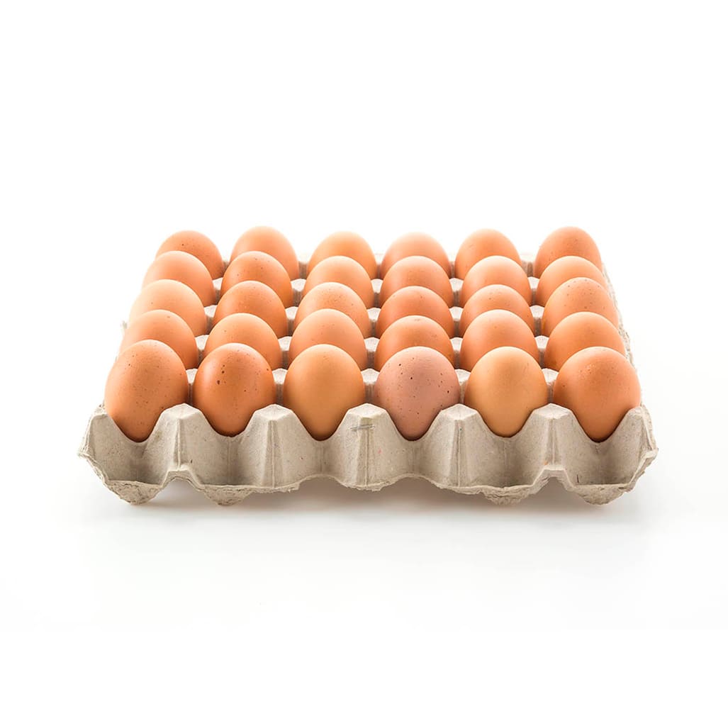 Huevos de Campo Color Extra3