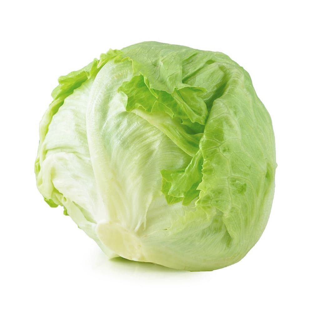 Lechuga Escarola2
