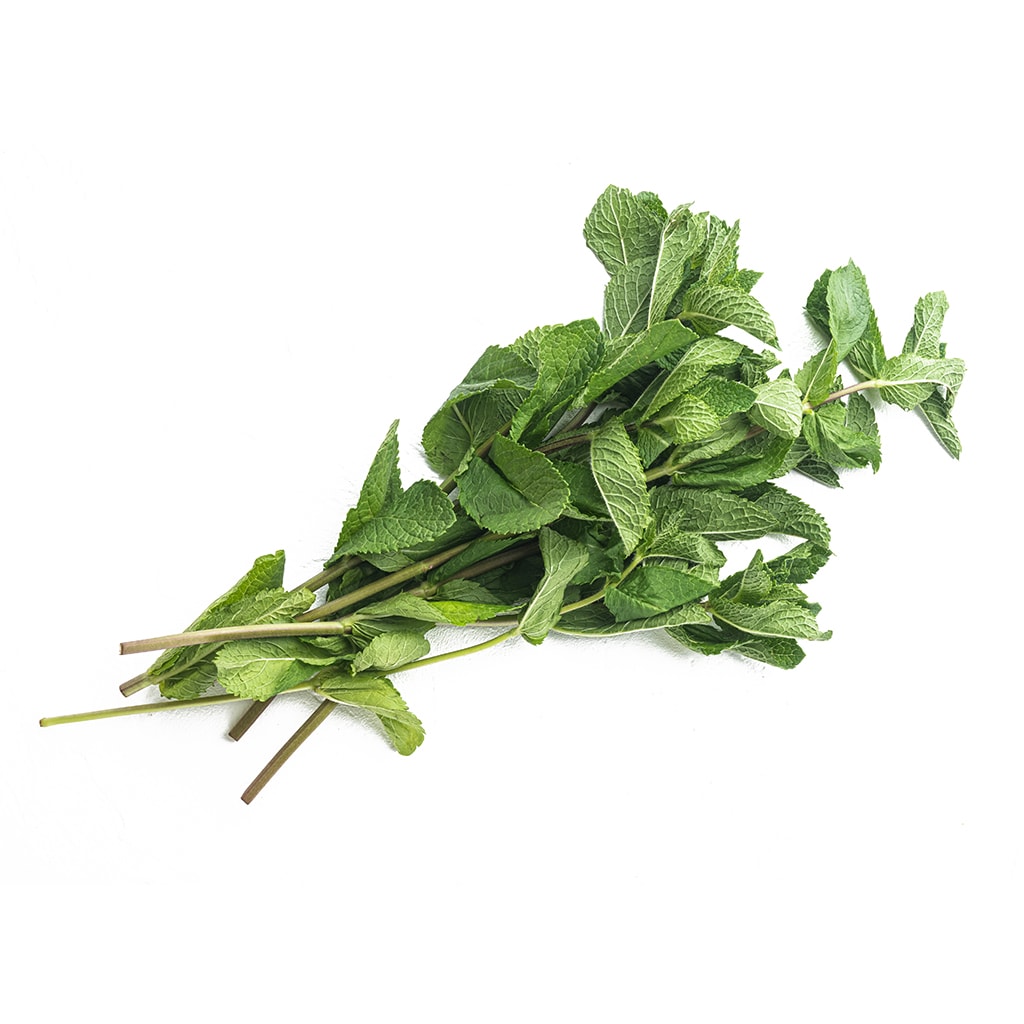 Menta2