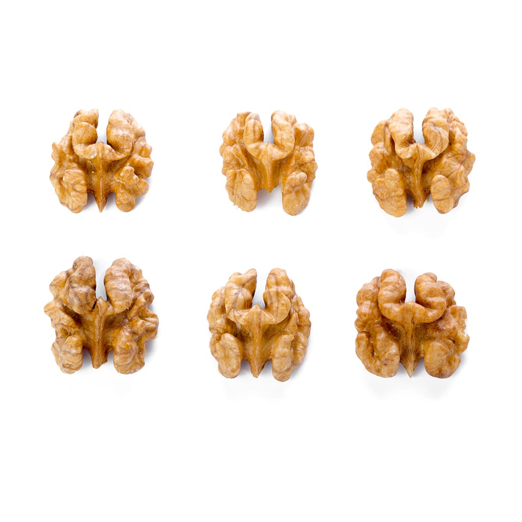 Nueces Mariposa3