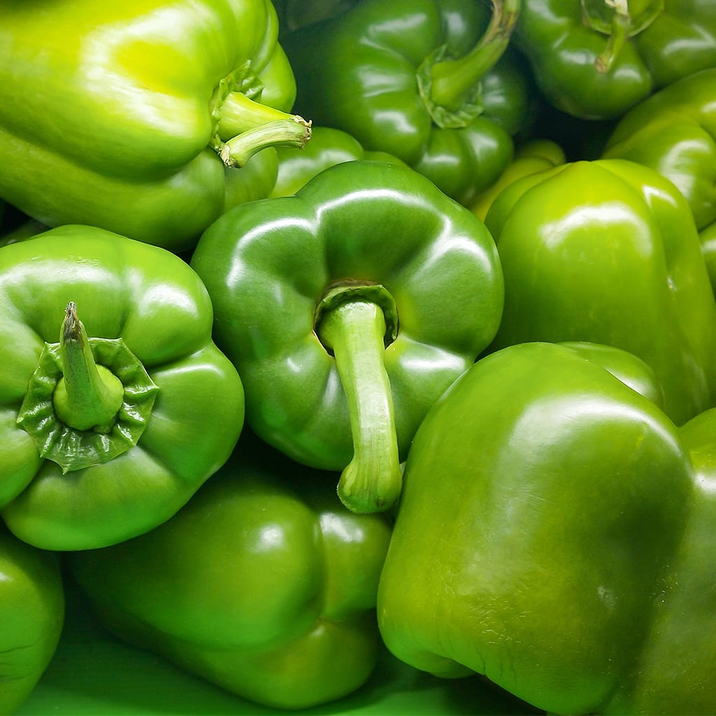Pimiento Verde4