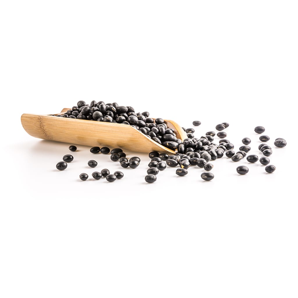 Porotos Negros3