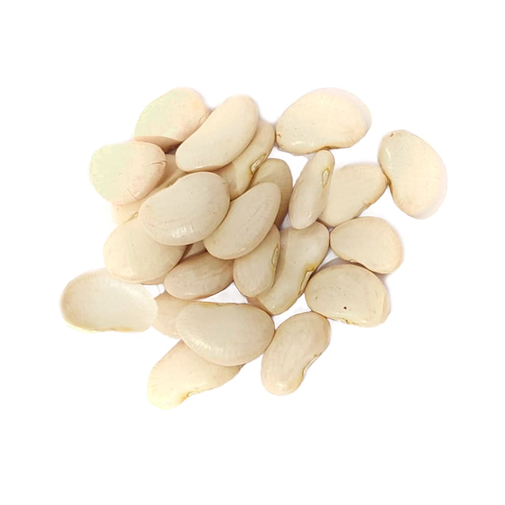 Porotos Pallar1