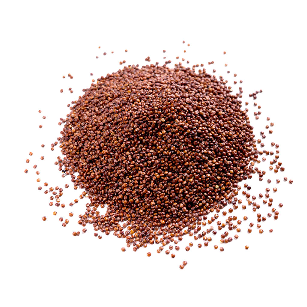 Quinoa Roja2