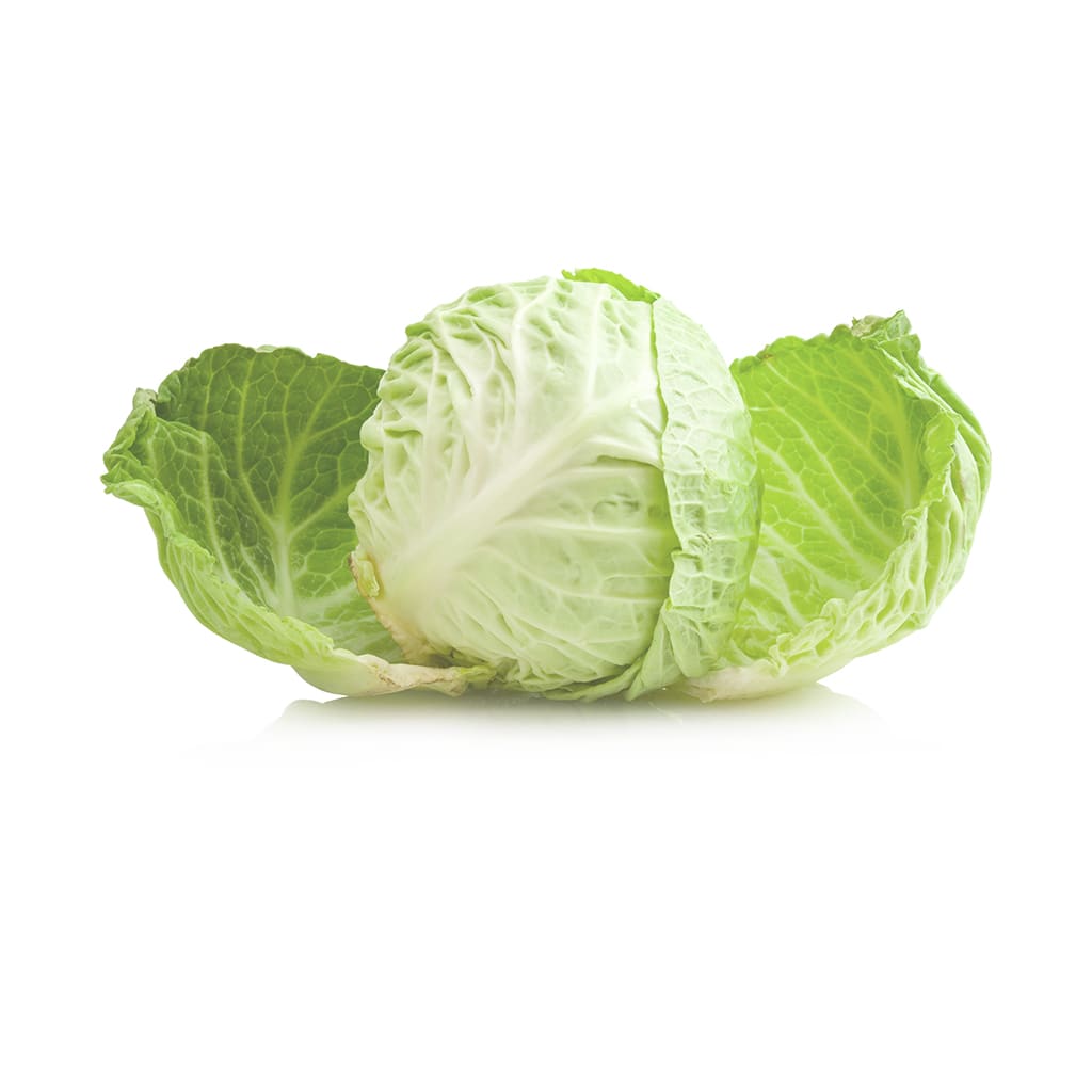 Repollo2