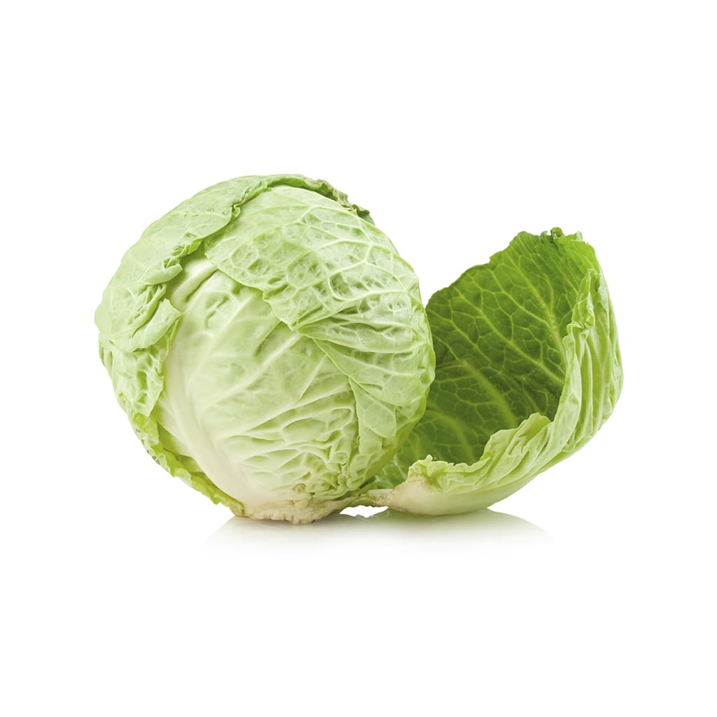 Repollo1
