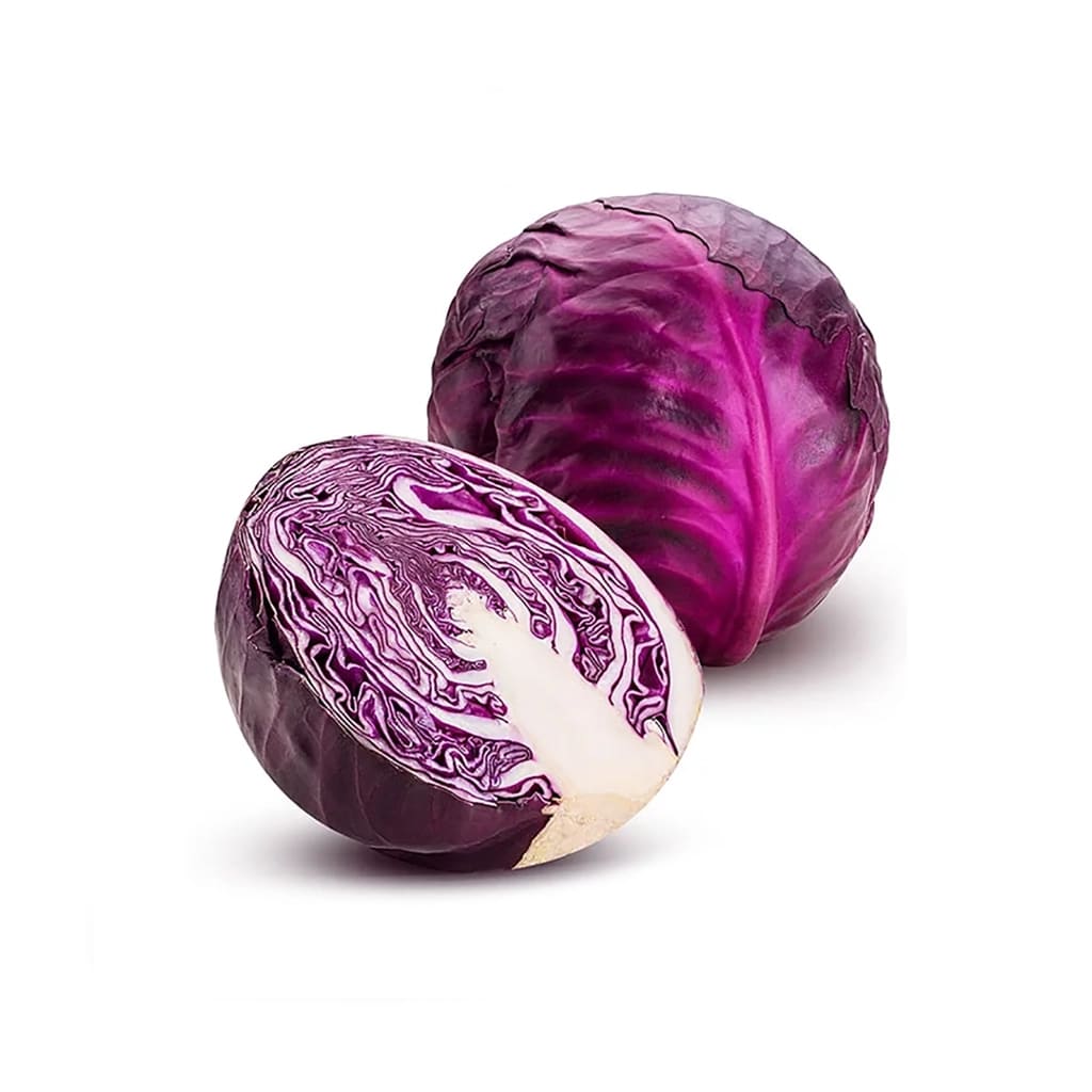 Repollo Morado2