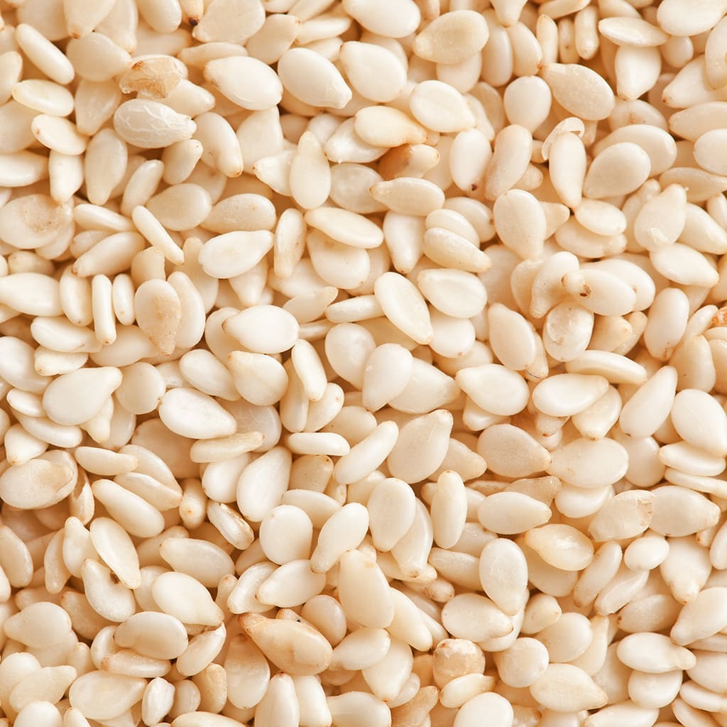 Sésamo3