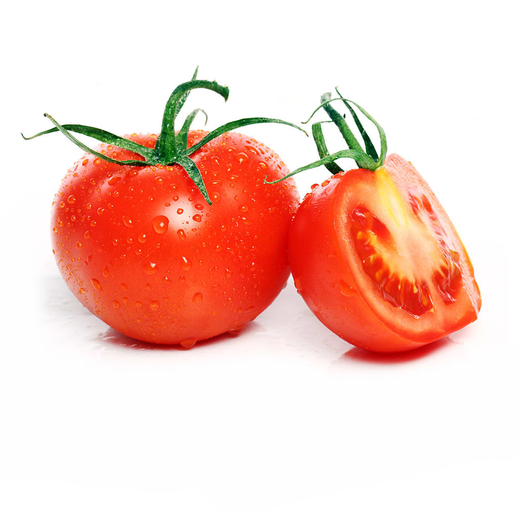 Tomate Primera2