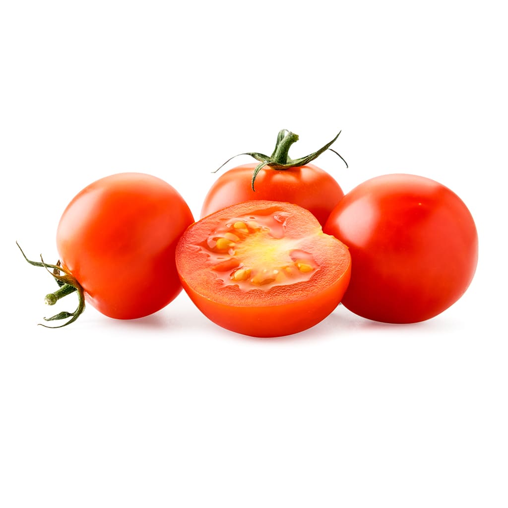 Tomate Primera3