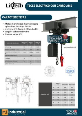TECLE ELECTRICO CON CARRO AMS 380V2000Kg,1 Ramal 2 Vel1