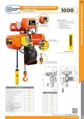 TECLE ELECTRICO CON CARRO HY 380V 1000Kg,1 Ramal 1 Vel
