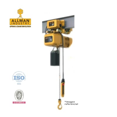 TECLE ELECTRICO CON CARRO ERT 380V  2000Kg, 1 Ramal, 1 Vel2