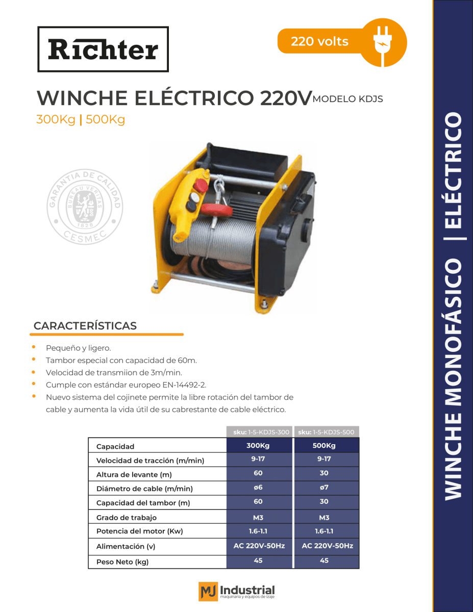 WINCHE KDJS 220V 300Kg modelo cuadrado2