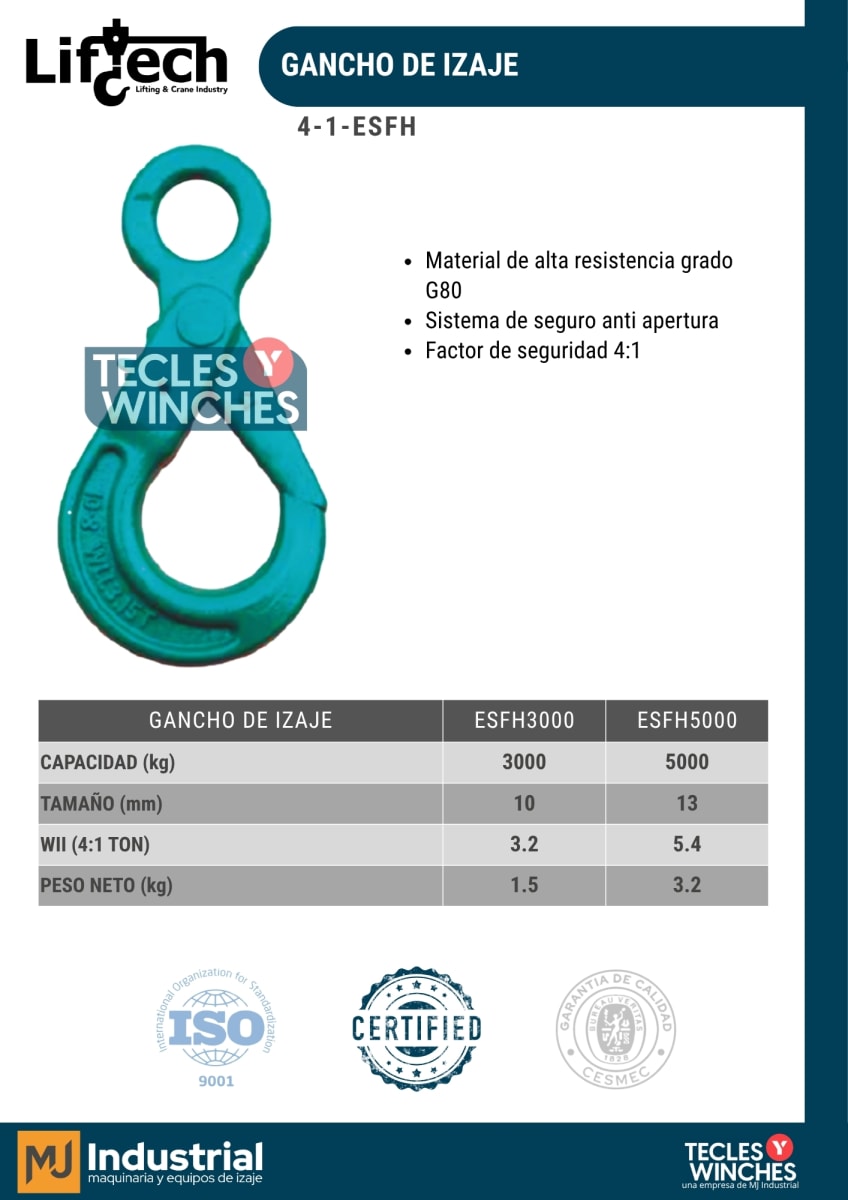 GANCHO IZAJE SEGURIDAD ESFH tipo ojo superior 5000KG 2