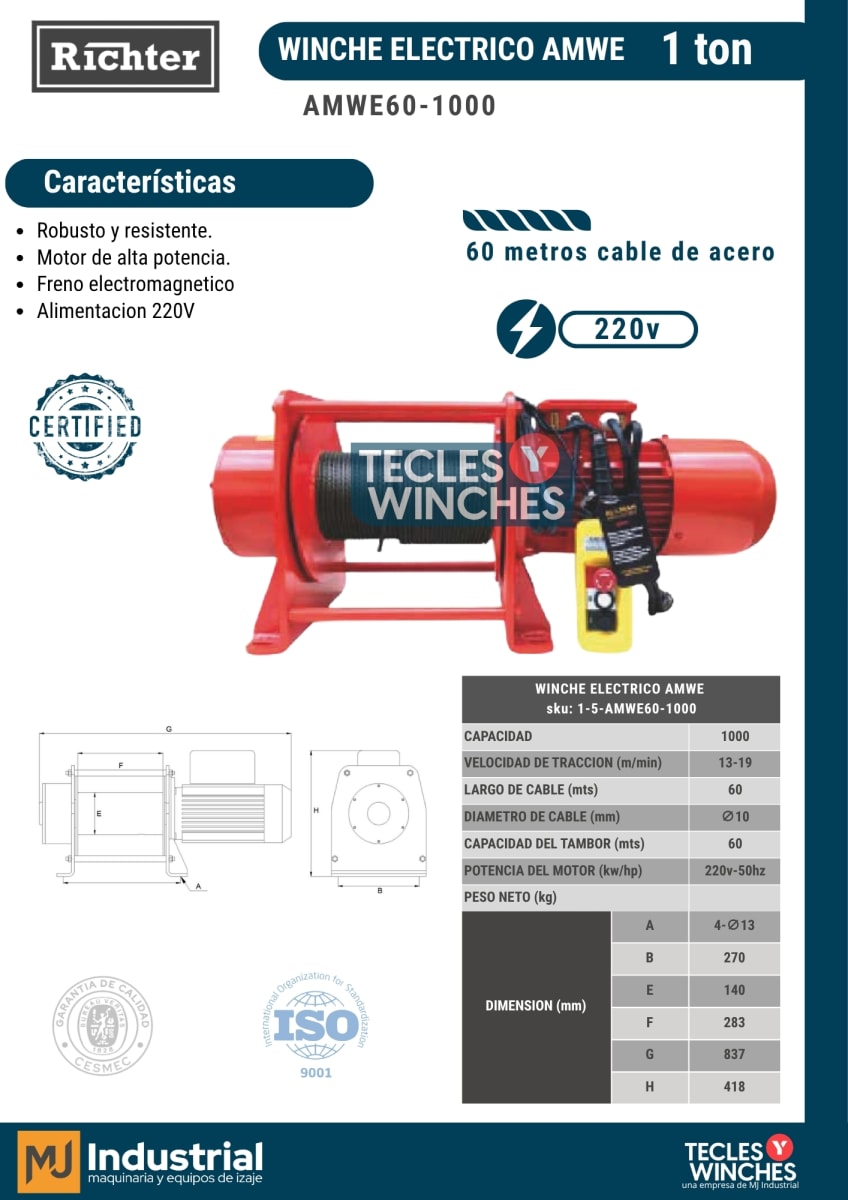 WINCHE AMWE 220V 1.000Kg x 60m2