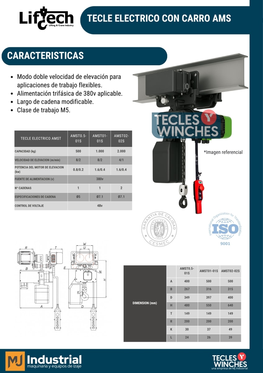 TECLE ELECTRICO CON CARRO AMS 380V2000Kg,2 Ramal 2 Vel1