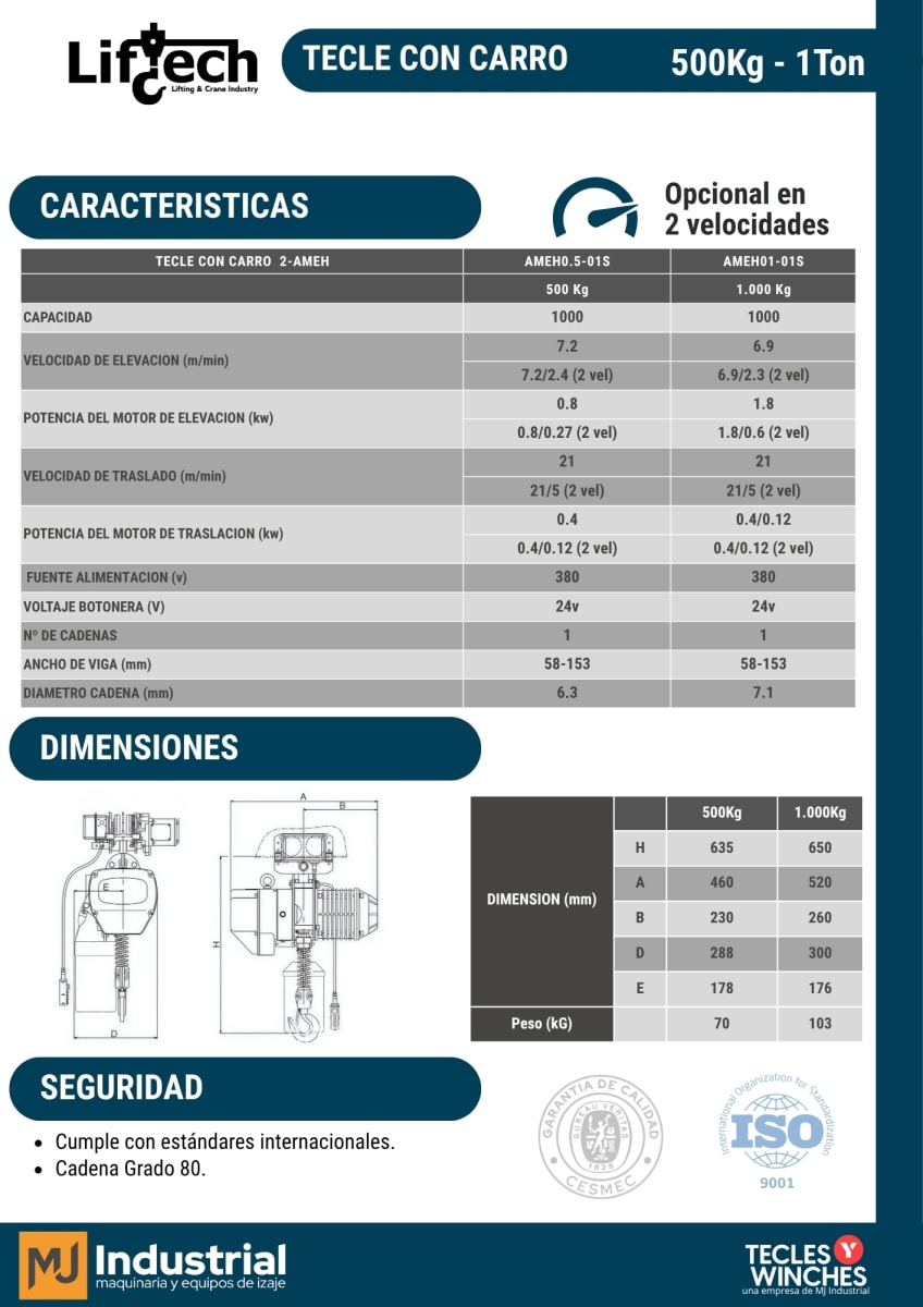 TECLE ELECTRICO CON CARRO AMEH 380V 1000Kg,1 Ramal 2 Vel2