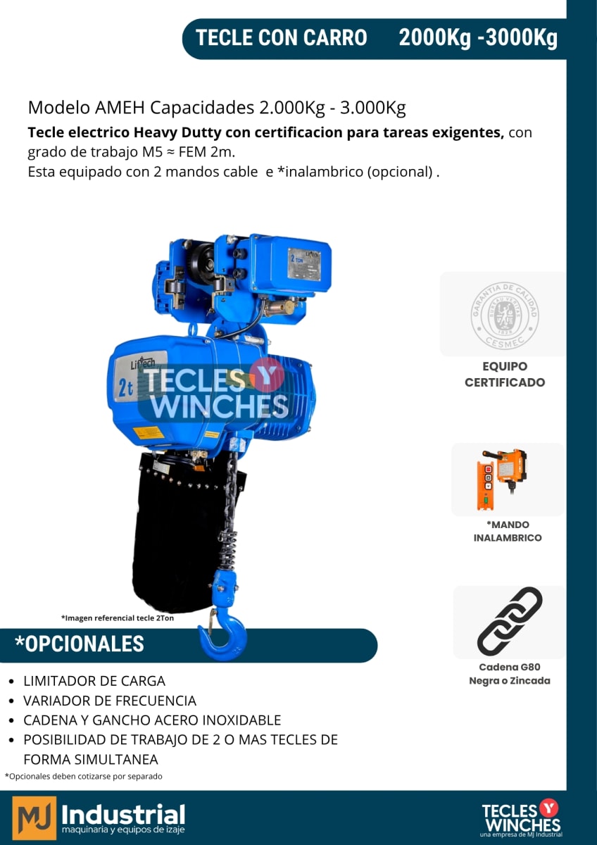 TECLE ELECTRICO CON CARRO AMEH 380V 2000Kg,2 Ramal 1 Vel2
