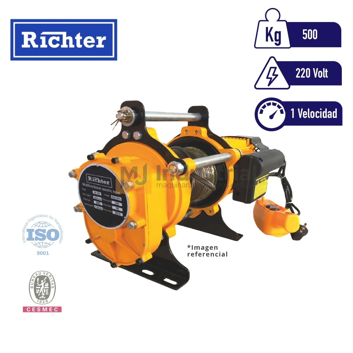 WINCHE CDK1 220V 500/1000Kg-30m 1