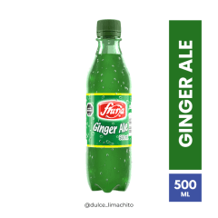 BEBIDA FRUNA GINGER 500 ML