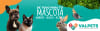 1920x600banner19732
