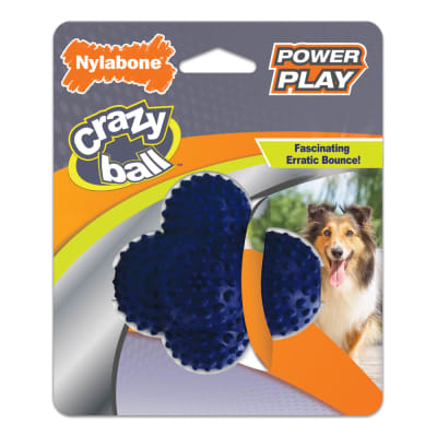 JUGUETE NYLABONE NYLA PLAY CRAZY BALL