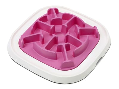 PLATO PET ENIGMA MEDIUM N 101