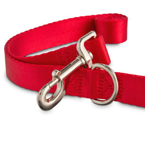 CORREA PETSHOW 5 MTRS1