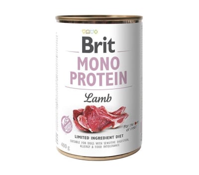 LATA BRIT CARE DOG MONO PROTEIN LAMB 400GR