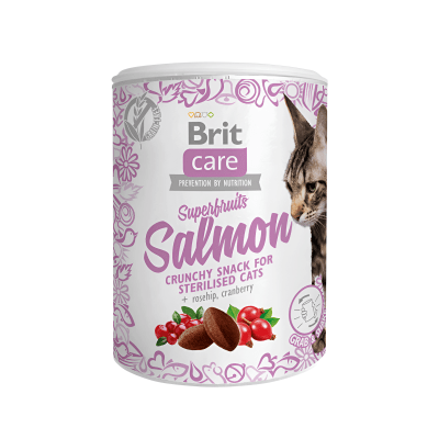 SNACK BRIT CARE CAT SUPERFRUITS SALMON 100GR