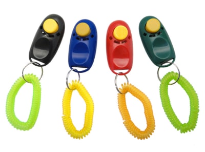 CLICK DE ADIESTRAMIENTO1