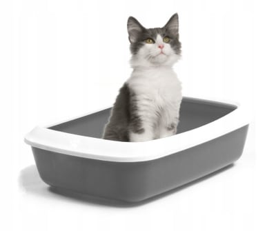 ARENERO ABIERTO IRIZ 50 BLUESTONE