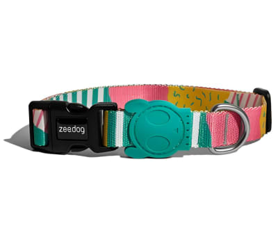 COLLAR ZEEDOG SALINAS SMALL
