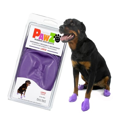 BOTITA MORADA TALLA L PROTEX PAWZ