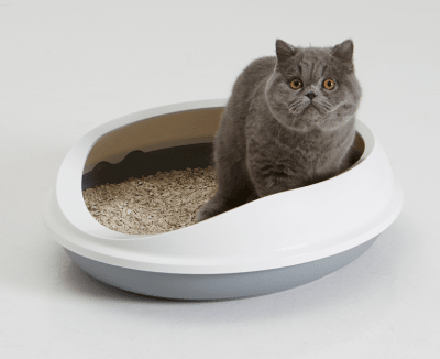 ARENERO ABIERTO FIGARO GRIS1