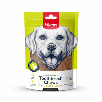 SNACK WANPY DOG TOUTHBRUSH DENTAL100GR