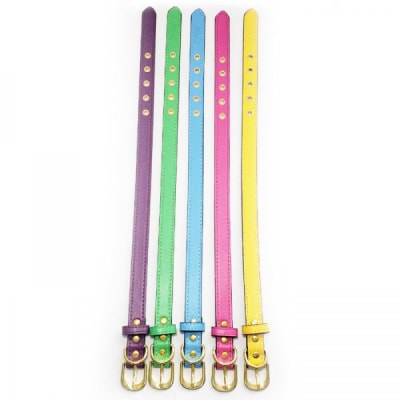 COLLAR WONDER DOG COLORES XS 1,0X30CM