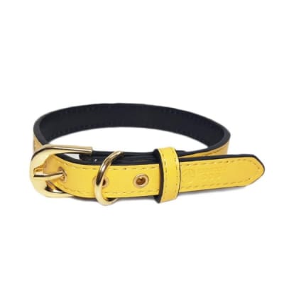 COLLAR WONDER DOG COLORES S 1,6X35CM