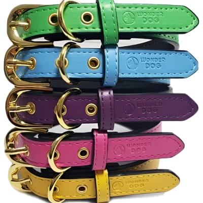 COLLAR WONDER DOG COLORES M 1,9X45CM