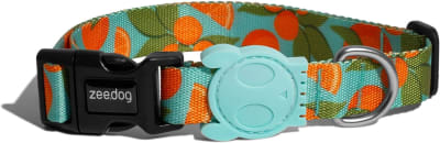 COLLAR ZEEDOG FLORIDA1