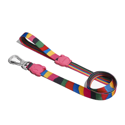 LEASH ZEEDOG CHROMA SMALL