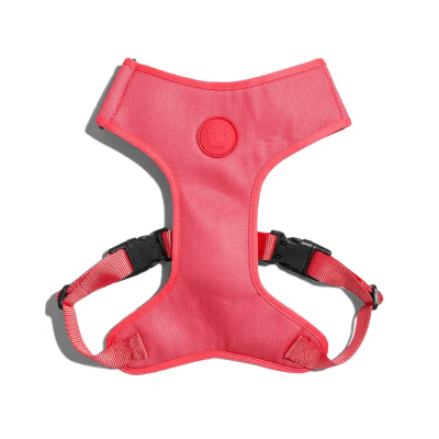 ARNÉS ZEEDOG NEON CORAL AIR MESH SMALL1