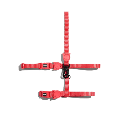 HARNES ZEECAT NEON CORAL SET1